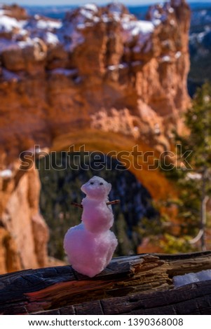 Bryce Canyon National Park Tourist Snowman