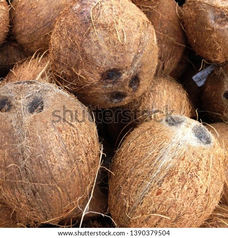 Macro Photo food fruit coconut. Texture tropical fruit coconut nut
