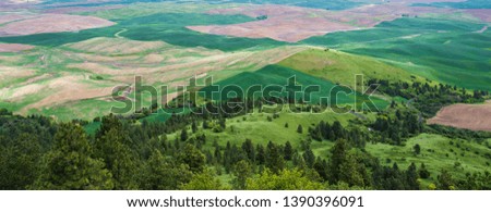 Rural views of rolling hills and fields in spring green from Steptoe Butte State Park Palouse valley eastern Washington