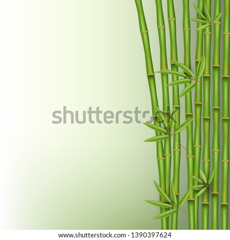 Creative illustration of chinese bamboo grass tree. Tropical asian plant art design. Abstract concept graphic banner, brochure, cover, booklet, print, flyer, book, blank, a4 element.