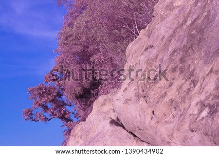 Infrared image of trees and sky against a blue sky with clouds.