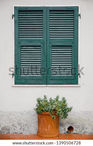 Green window shutters wooden dark vintage, blocking sunlight.