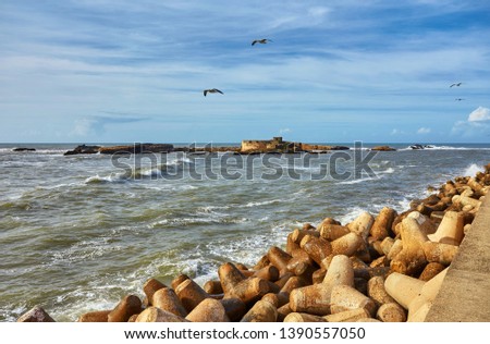 View of Mogador Island from a Beach in Essaouira Morocco with a Seagull Royalty-Free Stock Photo #1390557050