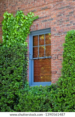 brick wall with modern window hidden in plants downtown portland oregon