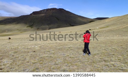 A unrecognizable woman in a red coat takes pictures of the wildlife in the patagonian steppes.