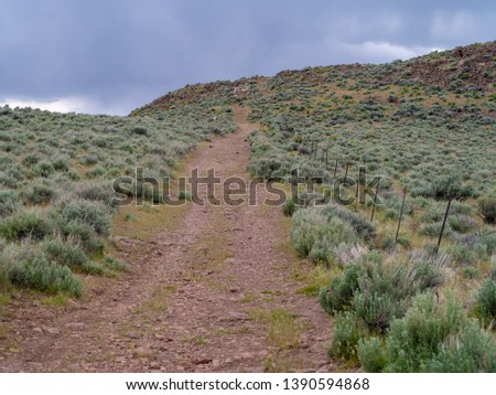 Footpath up a sagebrush desert mountain near Reno, Nevada during early spring.