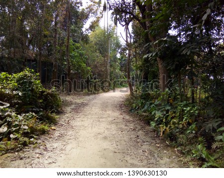 Tangail, Nagorpur Village road (Bangladesh)
