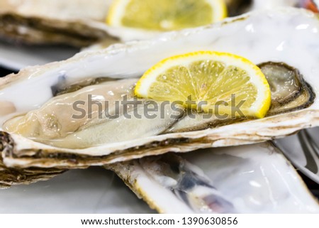 Traditional fish market stall full of fresh shell oysters
