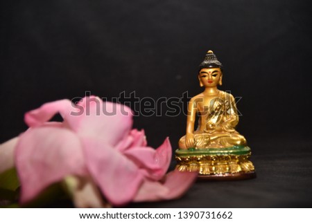 Pink lotus flower with buddha