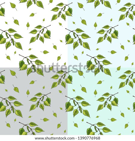 Vector set of seamless pattern of green birch tree brunches and leaves. 
