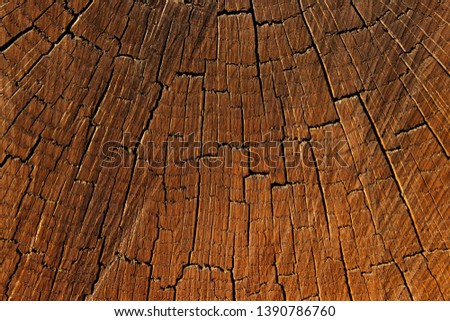 Wooden Texture Background.Cropped Shot Of Cracked Wooden Texture. Wooden Background. Nature Texture Background.