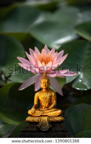 A peaceful superimposed and double exposure images of Golden Buddha statue from Wat Pathum Wanaram, Bangkok, Thailand and a pink lotus. Buddha statue is posing “The attitude of subduing Mara".