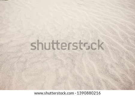 background sand desert / abstract empty background, texture desert sand, waves on, sand dunes