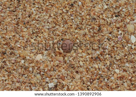 orange beach sand with shells