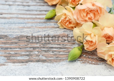 flower carnation lying on wood 