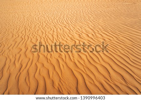 Abstract texture. Background with smooth lines of sand. Sand dunes Ripples in the sand. Strips in the sand from the wind