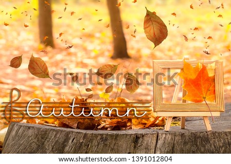 AUTUMN lettering card. Maple Leaves on tree cut. Autumn background concept. Maple,  yellow foliage, wooden stump 