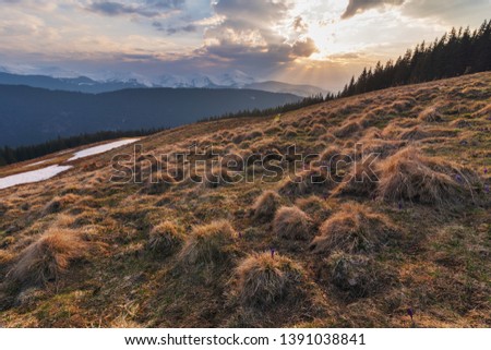 Rest on a mountainous valley with a view of the snow-capped peaks of Ukrainian carpathians in the spring period.	