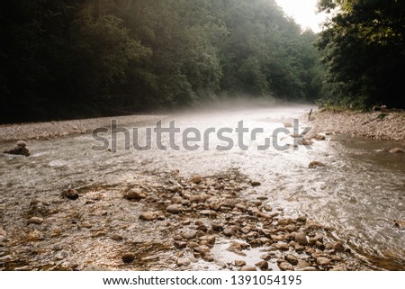 Summer morning mist spreads along the water of a mountain river flowing through a mixed forest.