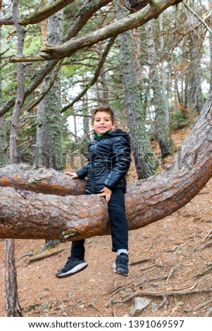 Portrait of a little boy on a tree