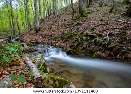 mountain river with waterfalls in the Bieszczady Mountains
