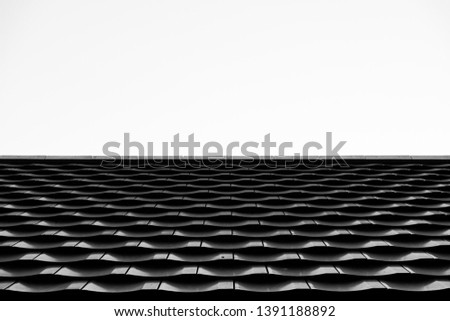 close up of roof pattern texture with white background copy space (black and white picture) 
