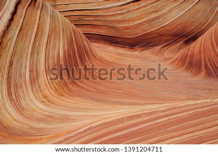 Detail of the  patterned rocks. The Wave, Vermilion North Coyote Buttes, Paria Canyon-Vermilion Cliffs Wilderness, Vermilion National Monument, Arizona, USA.