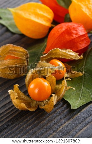 juicy winter cherry on a wooden rustic background