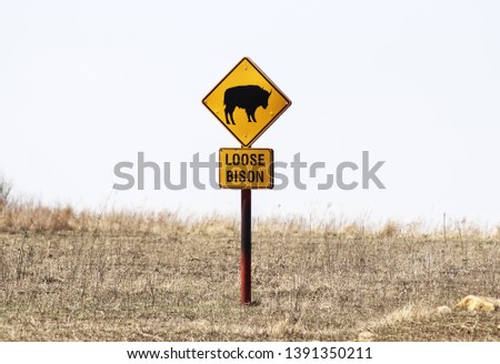Loose Bison with picture of animal caution sign stands surrounded by winter grass on the Tall Grass Prairie in Oklahoma USA