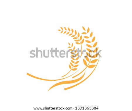 Agriculture wheat Logo Template vector icon design - Vector
