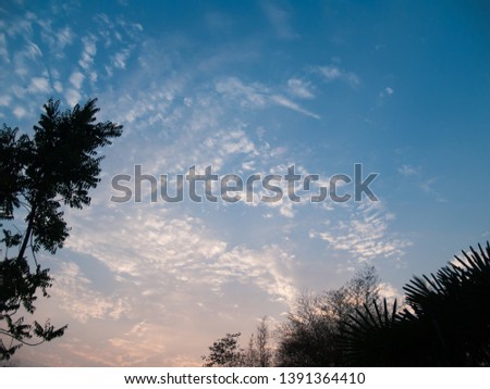 The image of the sky with clouds and trees at the corner of the picture after sunset