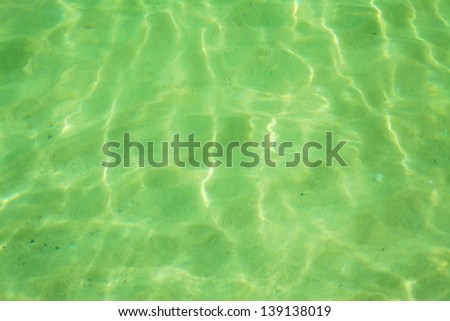 green seabed at sunny day background, soft focus