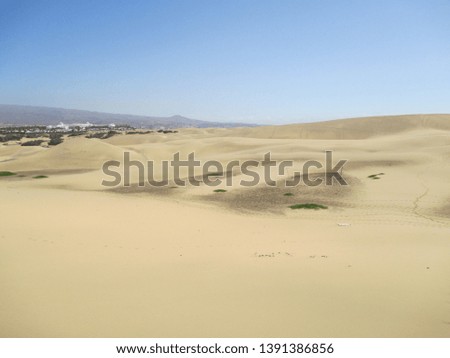 dunes in gran Canaria picture