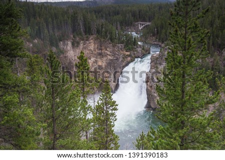The grand Upper Falls of Yellowstone pour out volumes of water