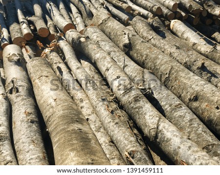 stack of wood pile, outdoor