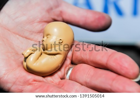 A woman holds a lifesize model of a foetus Royalty-Free Stock Photo #1391505014