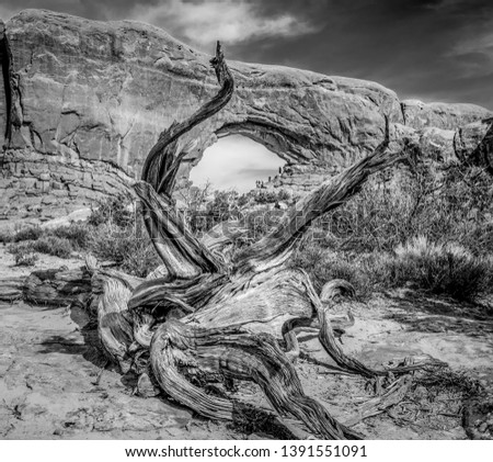 The holes in the rocks at Arches National Park - travel photography