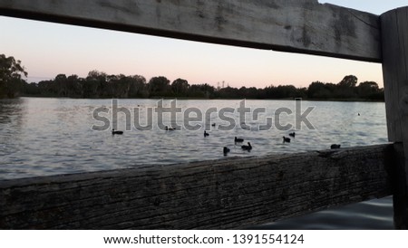 Lake through a fence with ducks