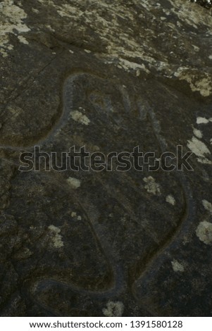 Native American Petroglyph Art Carved into Rocks