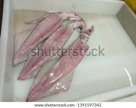 The picture of fresh squids in the box