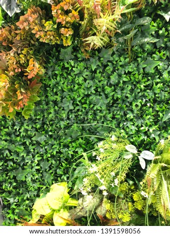 Decorative Green wall, eco friendly vertical garden