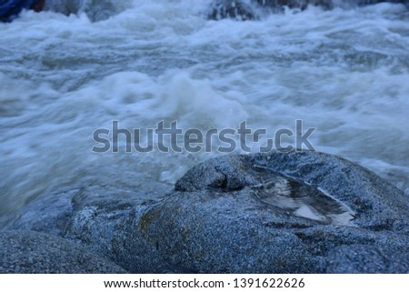 fast flowing water of a river closeup natural outdoor like a background texture