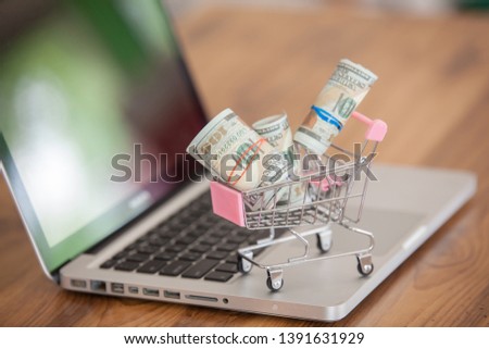 Online shopping concept. money in cart shopping