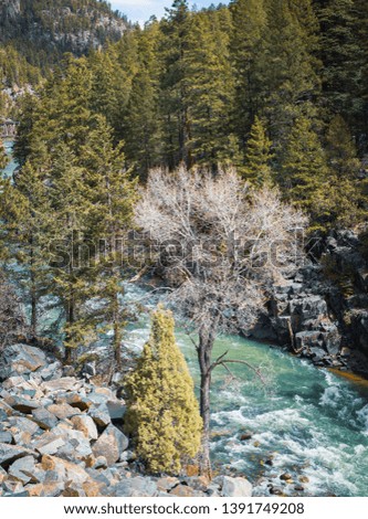 The Animas River is found in the San Juan National Forest in Colorado. You cannot get here by car so need to hike in or take a train that runs through the natural beauty. Steep cliffs surround the riv