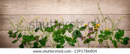 Wide long banner, summer cover for social networks - a romantic vintage spring or summer composition of forest flowers and plants on a light wooden background.