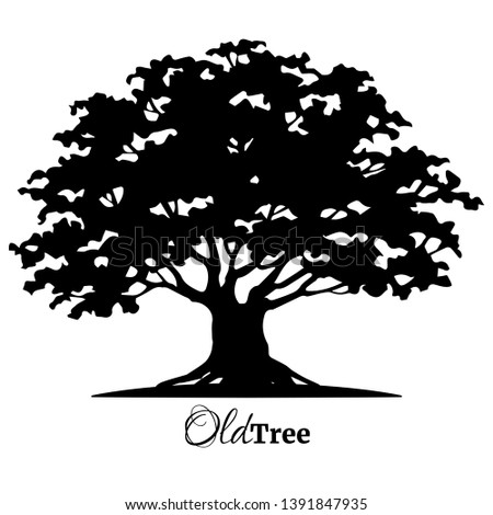 Black old tree silhouette. Tree of Life. Vector illustration.