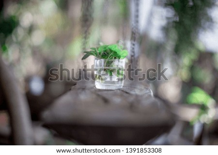 Blurred background of small glass that is decorated on wooden floors, interior decoration (restaurant, coffee, bakery, cake) for customers to take pictures while entering the shop 