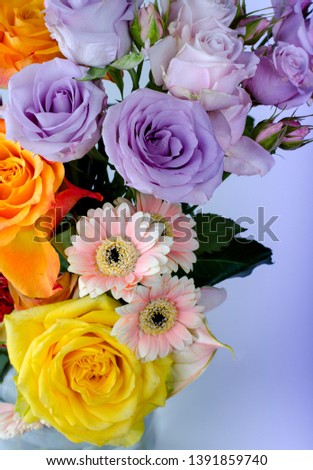 Various flowers bouquet. Pink Gerberas and gentle lilac roses close up floral background.