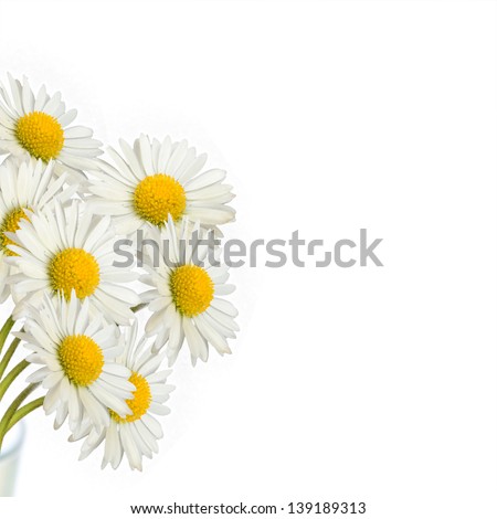 Bouquet of daisies on the white background Royalty-Free Stock Photo #139189313