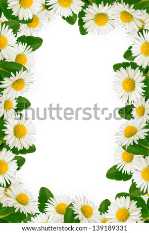 Daisies and green leaves frame on the white background Royalty-Free Stock Photo #139189331